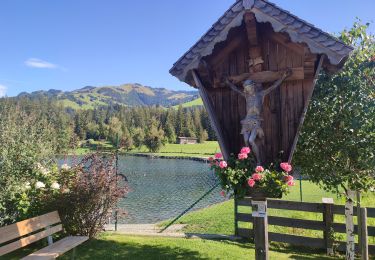 Percorso Marcia Gemeinde Kirchberg in Tirol - Kirchberg in Tirol dag 3 pm - Photo