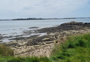 Tocht Stappen Île-d'Arz - Île d'Arz 12 mai 2022 CA - Photo