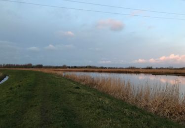 Excursión A pie Schagen - Klein rondje Waarland - Photo