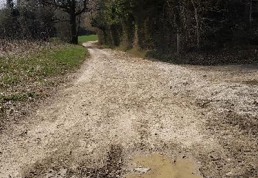 Tocht Noords wandelen Groisy - Groisy Nérulaz Les Pesses Fontaine vive - Photo
