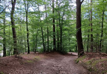 Tocht Stappen Spa - autour de Warfaaz - Photo