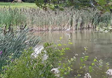 Tour Wandern Cesson - cesson sainte assise  - Photo