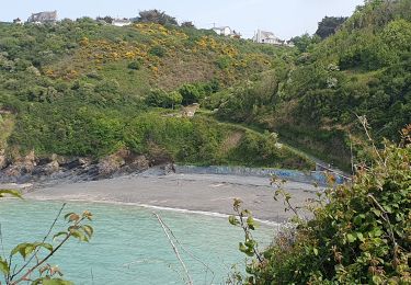 Trail Walking Pordic - le tour du cpucou - Photo