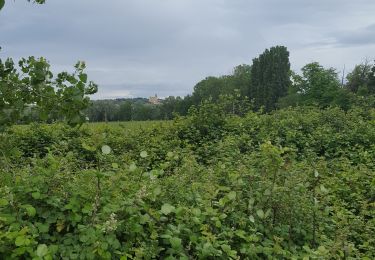 Tour Wandern Sorgues - L'oiselet tour de l'Hers par Via Rhona - Photo