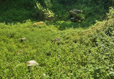 Excursión A pie Mladeč - Naučná stezka Třesín - Photo