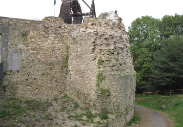 Randonnée A pied Theux - 38. Le Sentier du Staneux - Photo