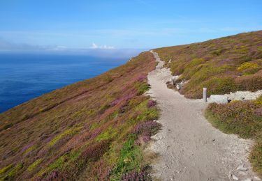 Tocht Stappen Crozon - Cap de la Chèvre - Pointe de Dinan Plage de Goulien - 26.4km 600m 7h50 (40mn) - 2019 09 08 - Photo