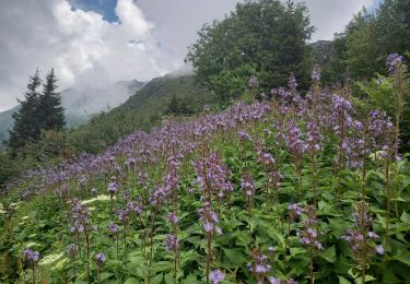 Tocht Stappen Les Contamines-Montjoie - Refuge de Tré la tête et Mauvais Pas 5.7.22 - Photo