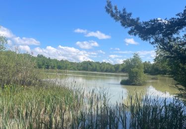 Tour sport Saint-Antoine l'Abbaye - Lac de bionnay - Photo