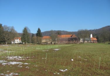 Tocht Te voet Gerstungen - Altenberger See Rundwanderweg 2 - Photo