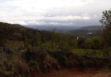 Percorso A piedi Salir - Rocha da Pena - Photo