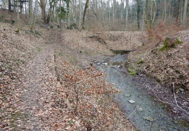 Tour Zu Fuß Bad Schussenried - Bad Schussenried: Wanderweg 7 - Photo