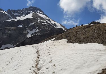 Trail Walking Doucy-en-Bauges - SOUS LE TRELOD - Photo