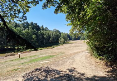 Tocht Stappen Vigneux-de-Bretagne - de Vigneux de Bretagne à Saint Étienne de Montluc - Photo