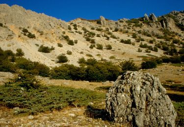 Percorso A piedi Petralia Sottana - Cresta della Quacella - Photo