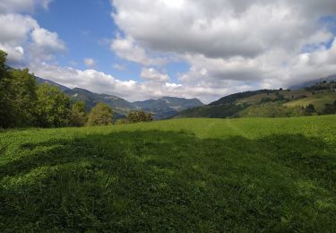 Excursión Senderismo Saint-Pierre-d'Entremont - boucle de saint aime plus - Photo