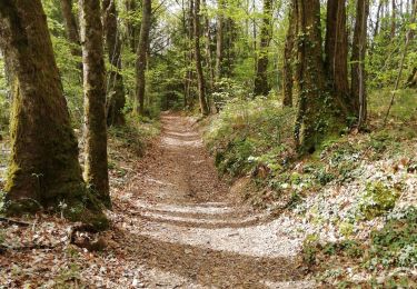Trail Walking Espartignac - Fred B C Espartignac  - Photo