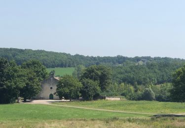 Trail Road bike Montpezat-de-Quercy - Montpezat lalbenque pilou - Photo