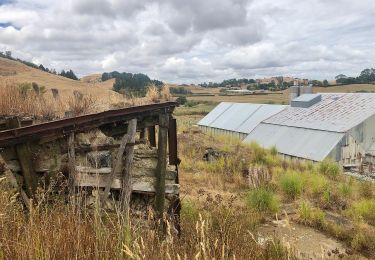 Percorso A piedi  - Te Araroa - 03 Waikato - f Waipa Walk - Photo