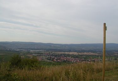 Randonnée A pied Bingen am Rhein - Schönhölle Spelzenberg - Photo