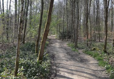 Trail Walking Namur - De Gelbressée à la Meuse - Photo