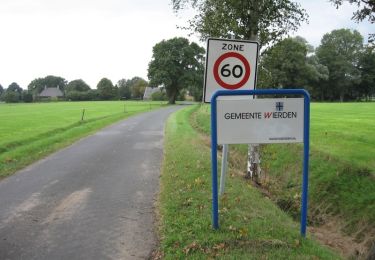 Tour Zu Fuß Wierden - WNW Twente - Enterbroek - groene route - Photo