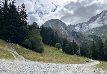 Tocht Stappen Pralognan-la-Vanoise - Pralognan col Vanoise val Arcelin 12,6 km - Photo