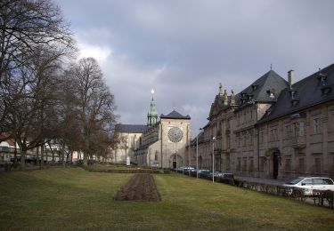 Excursión A pie Ebrach - Rundweg 