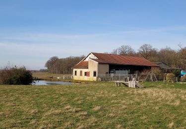 Percorso Bici da strada Paron - 102 S80 Villeneuve sur Yonne-01 - Photo