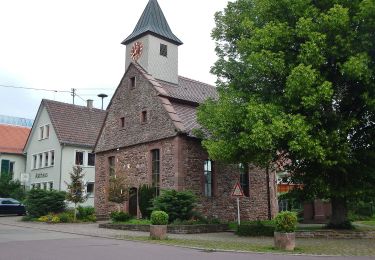 Trail On foot Althengstett - DE-SWV Gelbe Raute, Waldenserstein - Bronnbach - Photo