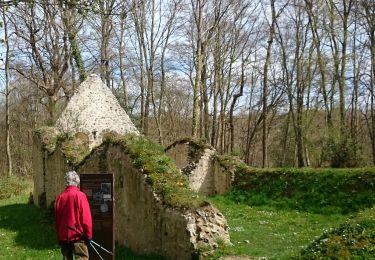 Trail Walking Vieux-Port - veux port - Photo