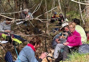 Trail Walking La Roche-Bernard - Boucle moyenne vilaine - Photo