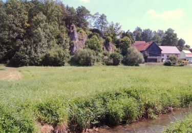 Tocht Te voet Aufseß - Rote-Spitze-Weg Sachsendorf - Photo