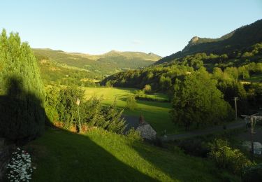 Excursión A pie Anglards-de-Salers - Sur la route des transhumances - Photo