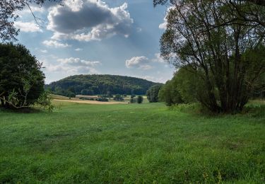 Percorso A piedi Weismain - Kaspauer Rundweg - Photo