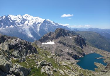 Tocht Stappen Chamonix-Mont-Blanc - Les Lacs Noirs 10.7.22 - Photo