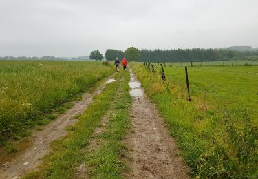 Percorso Marcia Florennes - 2019-06-15 Rosée 30 km - Photo