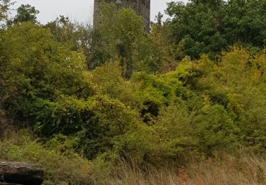 Tocht Stappen Montmiral - Montmiral  - Photo