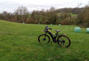 Trail Mountain bike Château-Thierry - VTT du 4/12/2023 - Photo