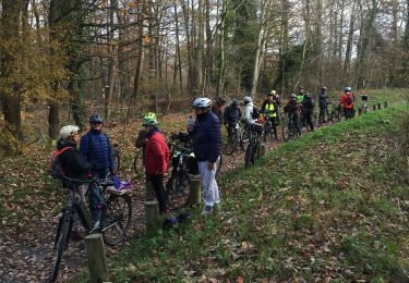 Tocht Mountainbike Villiers-le-Bâcle - Villiers-le-Bâcle - le Moulon - Photo