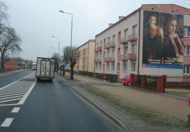 Tour Zu Fuß Zwoleń - Zwoleń PKS - rzeka Wisła - Photo