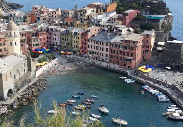 Tour Wandern Levanto - Rando Cinq Terre 2ème jour- Levanto- Vernazza 14km - Photo