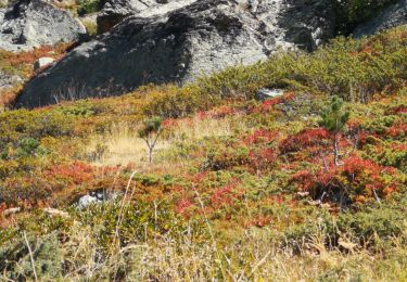 Tocht Noords wandelen Evolène - descente de la cabane du tsa  - Photo