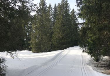 Randonnée Ski de fond Prémanon - 2025-BALADASKI - Photo