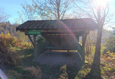 Randonnée Marche Gerbamont - Promenade fouchure - Photo