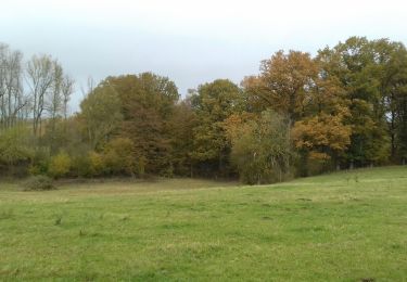 Tour Wandern Modave - Modave 11 km - Photo