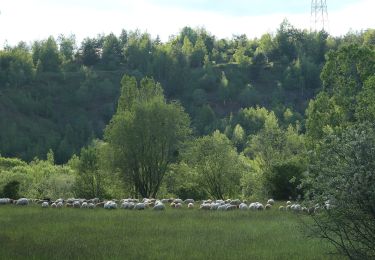 Trail On foot Dudelange - Auto-Pédestre Dudelange 2 - Photo