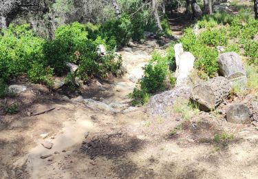 Trail Walking Martigues - figuerolles plateau jacky - Photo
