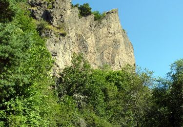 Trail Walking Murol - 2022-05-31_09h32m44_LAC CHAMBON - DENT DU MARAIS - Photo