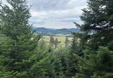 Trail Walking Domfaing - Les hauts de Domfaing - Photo
